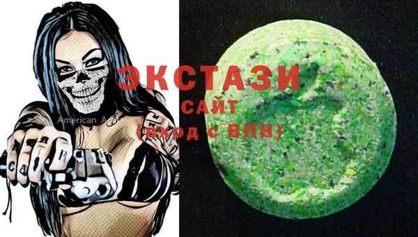 шишки Надым