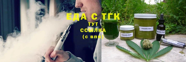 шишки Надым