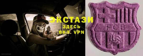 шишки Надым