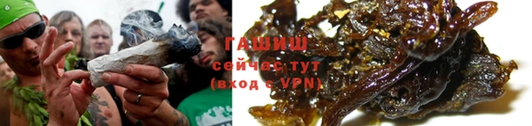 шишки Надым
