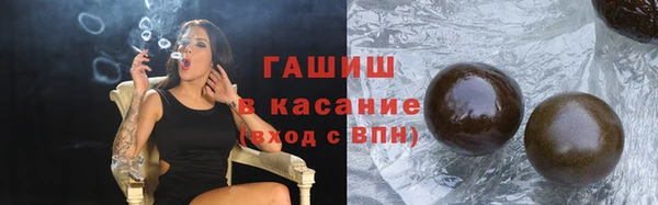 шишки Надым
