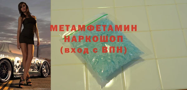 шишки Надым