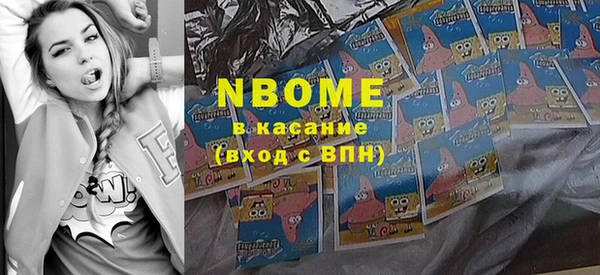 шишки Надым