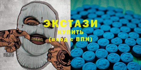 шишки Надым
