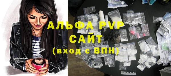 шишки Надым