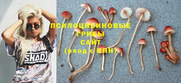 шишки Надым