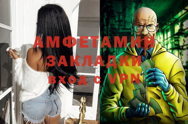 шишки Надым