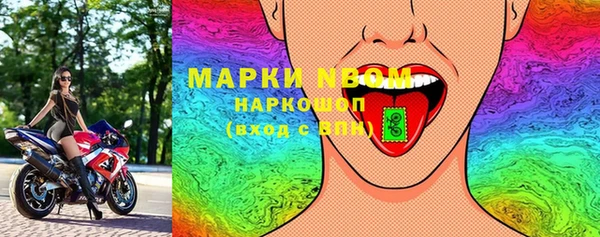 шишки Надым